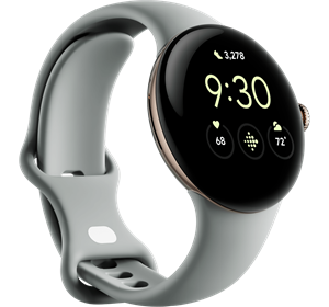 device | Google Pixel Watch 2 41 mm