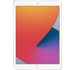 device | Apple iPad 8 Wifi