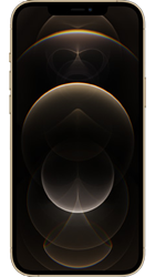 device | Apple iPhone 12 Pro Max
