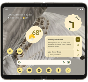 device | Google Pixel Fold